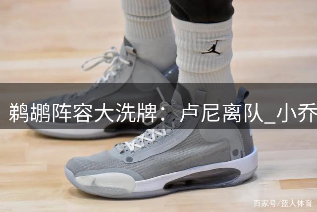 鹈鹕阵容大洗牌：卢尼离队 小乔丹留队 新星巴夫金强势加盟
